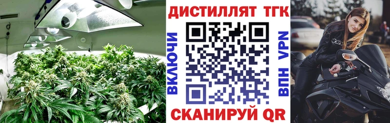 ТГК вейп с тгк  мега зеркало  Елизаветинская 
