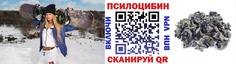 где купить наркоту  Елизаветинская  Галлюциногенные грибы GOLDEN TEACHER 