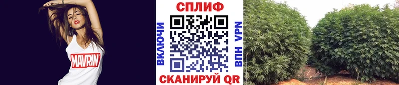сколько стоит Елизаветинская Конопля тримм